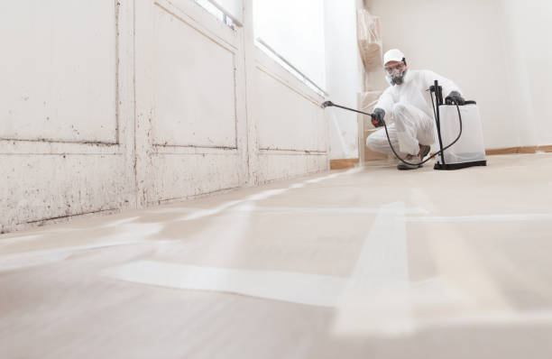 Post-remediation clearance in Gibsonton